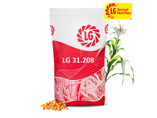 LG 31.208