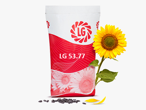 LG 53.77