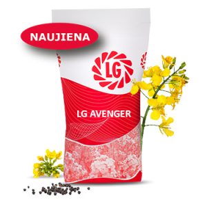 LG AVENGER