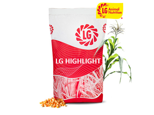 LG HIGHLIGHT