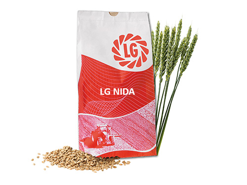 LG NIDA