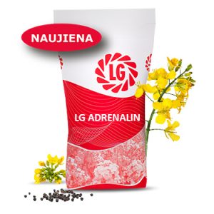LG ADRENALIN