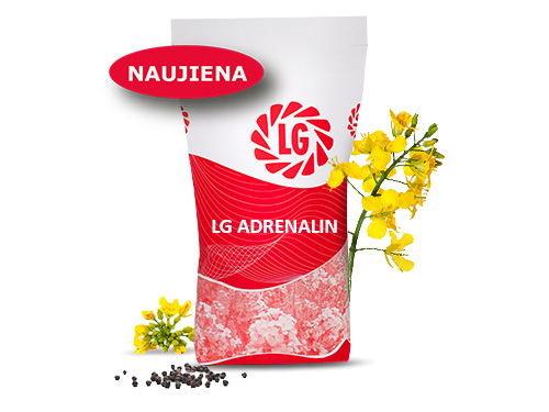 LG ADRENALIN