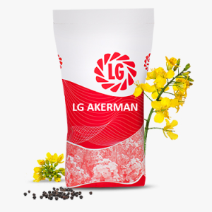 LG AKERMAN